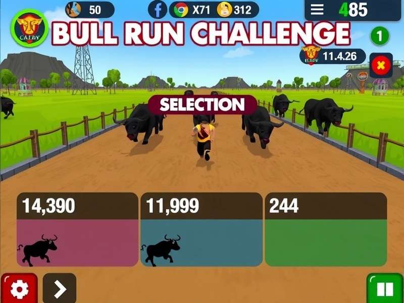 Bull Run Challenge player demographic statistics visualization